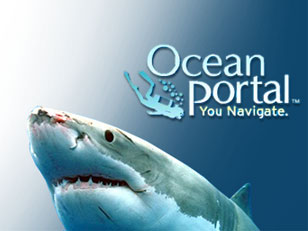 Ocean Portal