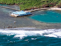 The Smithsonian Tropical Research Institute