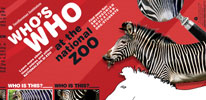 New Activity Sheet: Zebras
