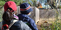 What’s New at the National Zoo?