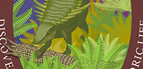 National Fossil Day NMNH