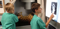 Do your students wonder what it would be like to work at the Zoo?