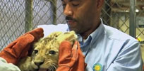The Secret World of Zoo Jobs