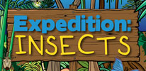 Expedition: Insects