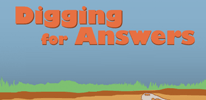 Online Quiz: Digging for Answers