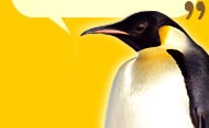 Penguin Image