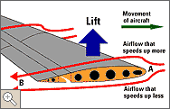 wing diagram