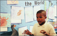 Student Speaking